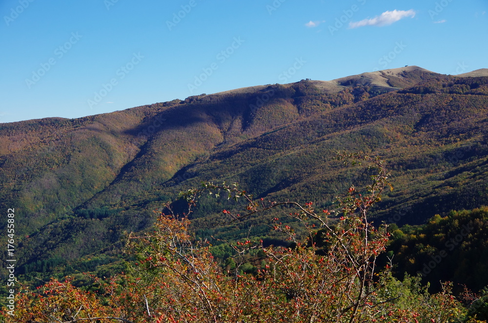 Casentino and Appennines from Pratomagno, autum foliage.