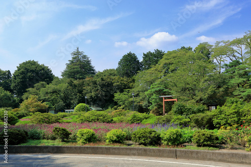 沼田城址公園