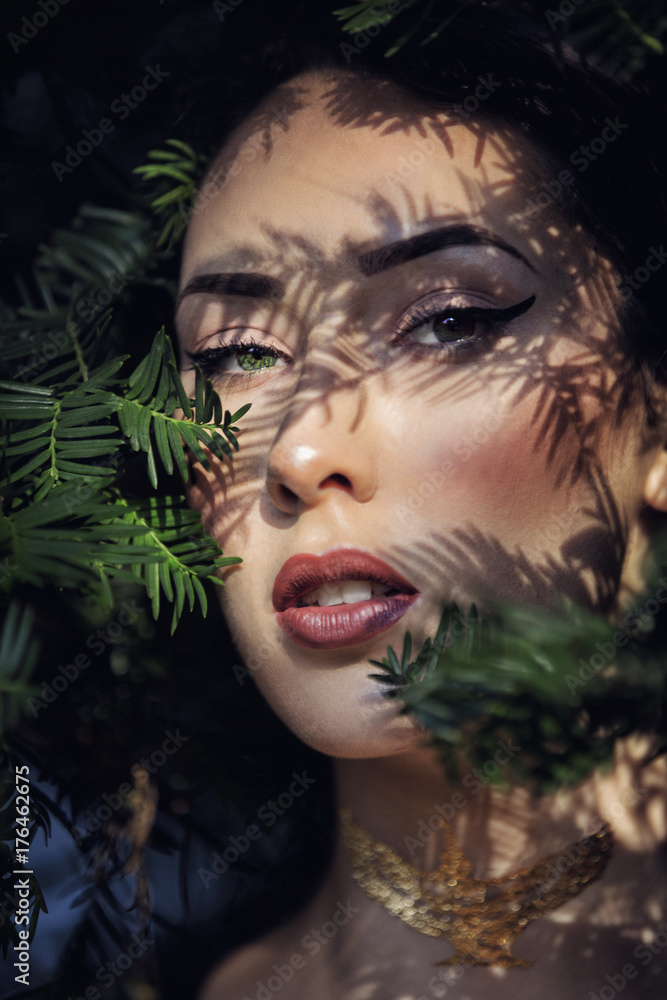 forest model forest model