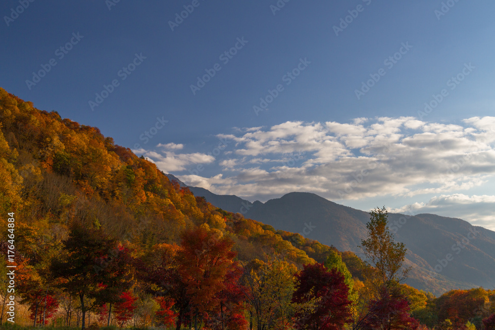 Fall Foliage Autumn colors in Japanese Alps Shinhotaka,  Japan