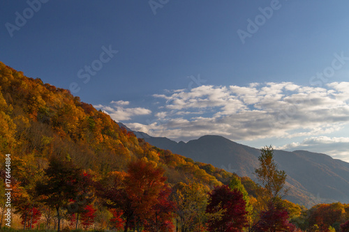 Fall Foliage Autumn colors in Japanese Alps Shinhotaka   Japan