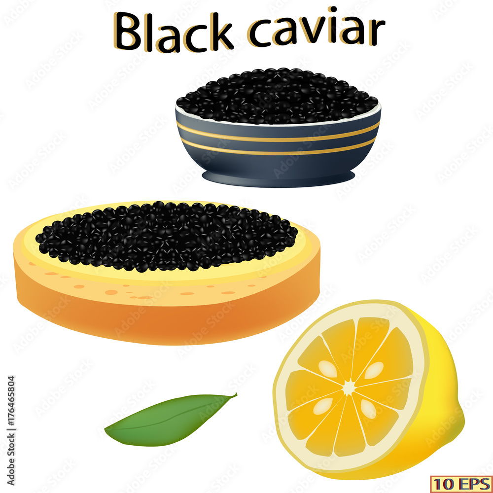 Black caviar. Bowl with sturgeon caviar isolated on white background. Vector illustration. Black caviar. Bowl with sturgeon caviar isolated on white background. Vector illustration.