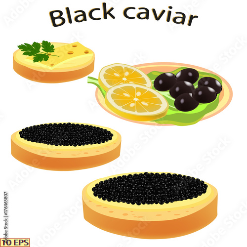 Red caviar close-up.  Salmon caviar. Sandwich with red caviar isolated on white background.  Vector illustration.