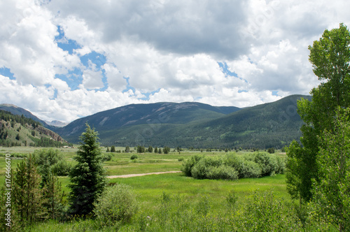 Lush Green Valley