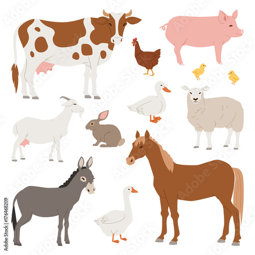 Different home farm vector animals and birds like cow  sheep  pig  duck farmland set illustration