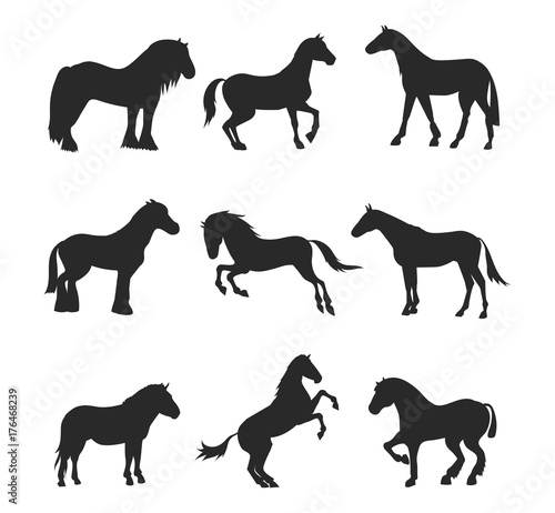 Horse pony stallion isolated black silhouette different breeds color farm equestrian animal characters vector illustration.