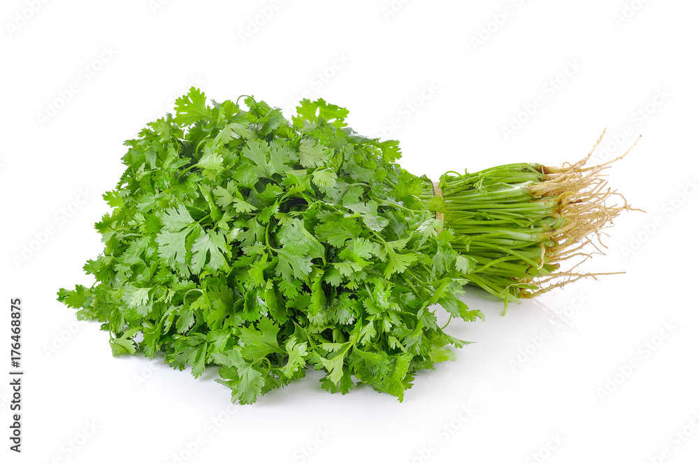 Fototapeta premium coriander on white background