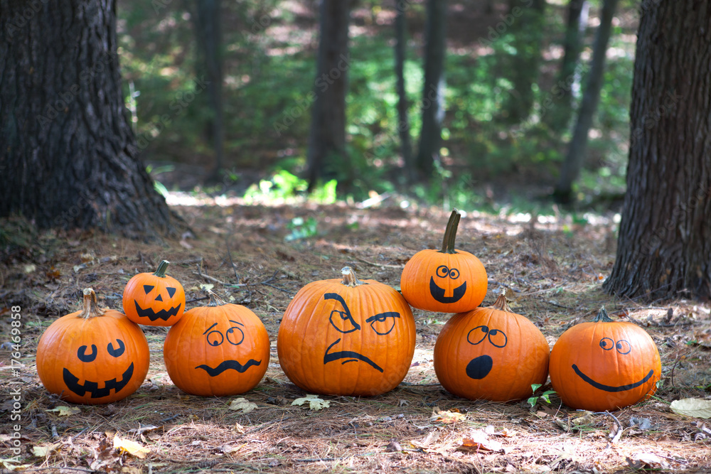 Halloween pumpkins in the woods StockFoto Adobe Stock
