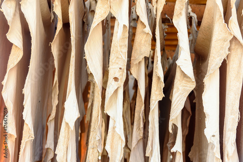 Картината върху платно Leather drying in the tannery. Fez, Morocco