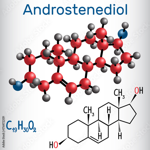 Androstenediol (androgen steroid hormone ) - structural chemical formula and molecule model