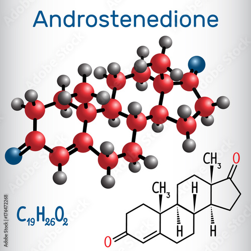 Androstenedione (androgen steroid hormone ) - structural chemical formula and molecule model