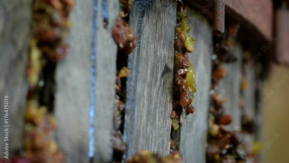 Old wine press in a winery, Sauternes Vineyard, Botrytis Grapes Old wine press in a winery, Sauternes Vineyard, Botrytis Grapes