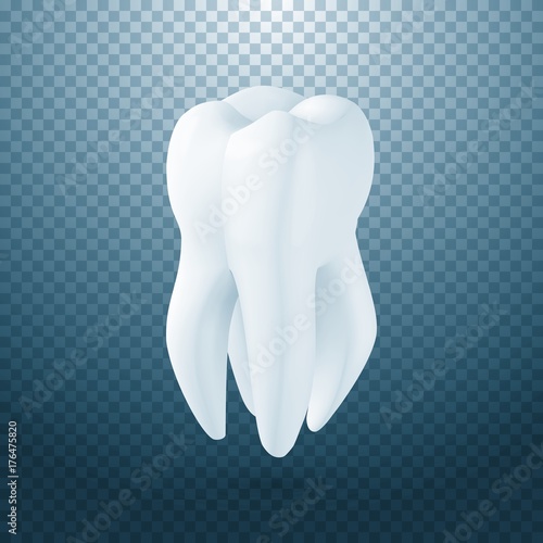 Illustration of Vector Tooth Icon. Realistic Teeth Isolated on Transparent Overlay Background