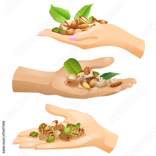Three palms with the batch of nuts / Hands of Caucasian people with the batches of different nuts
