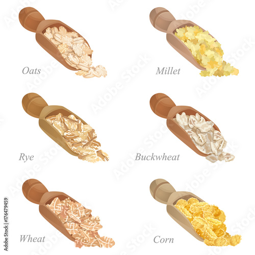 Six shovels with different cereal flakes part one / There are corn, oats, rye, wheat, millet and buckwheat flakes in shovels
