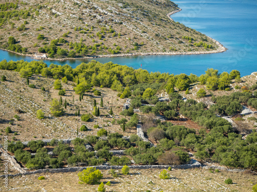 Bay with anchoring yachts, in the middle of Kornati national park islands in summer Croatia, lone forrest and farm, Mediterranean sea