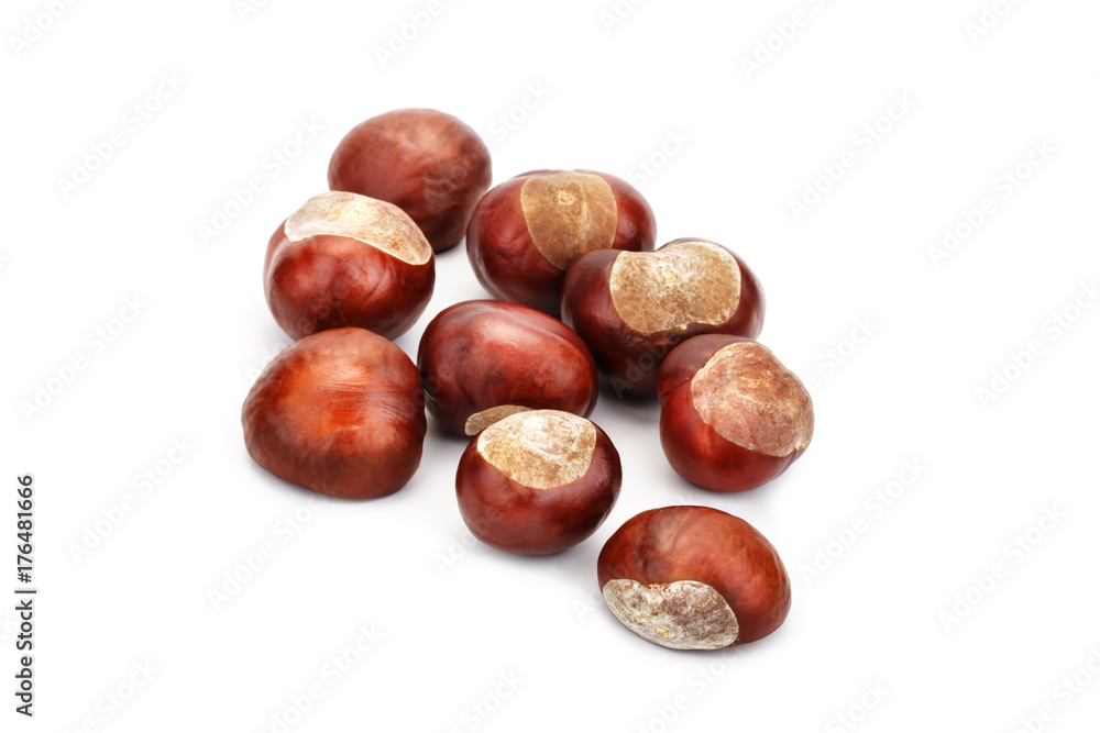 Chestnuts on a white background. An isolated object. Chestnuts on a white background. An isolated object.