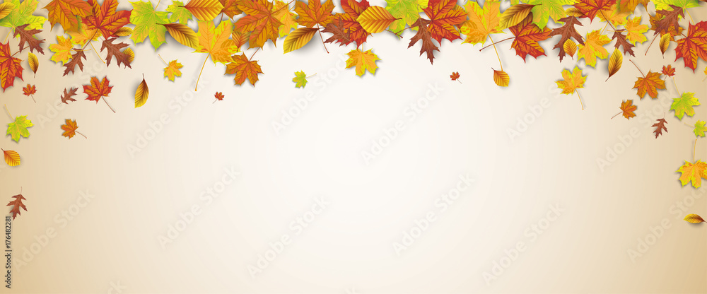 Herbst Header mit Herbstlaub