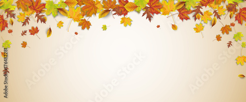Herbst Header mit Herbstlaub