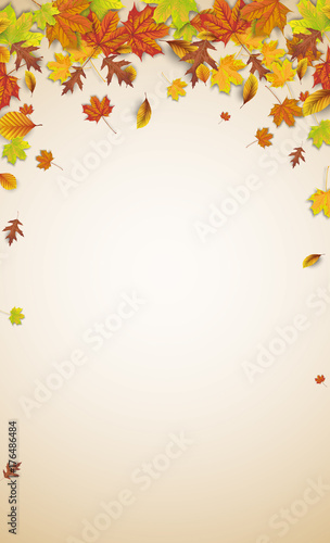 Autumn Foliage Brown Background Legal Upright Shadows