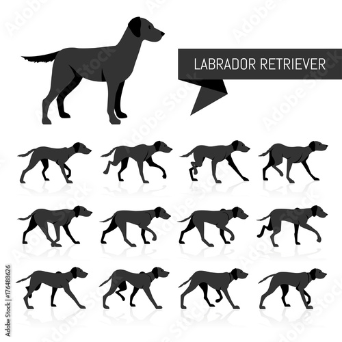 Labrador Retriever vector silhouettes