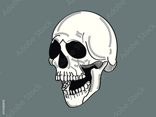 Tête de mort vue 3/4