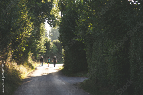 promenade en sous-bois
