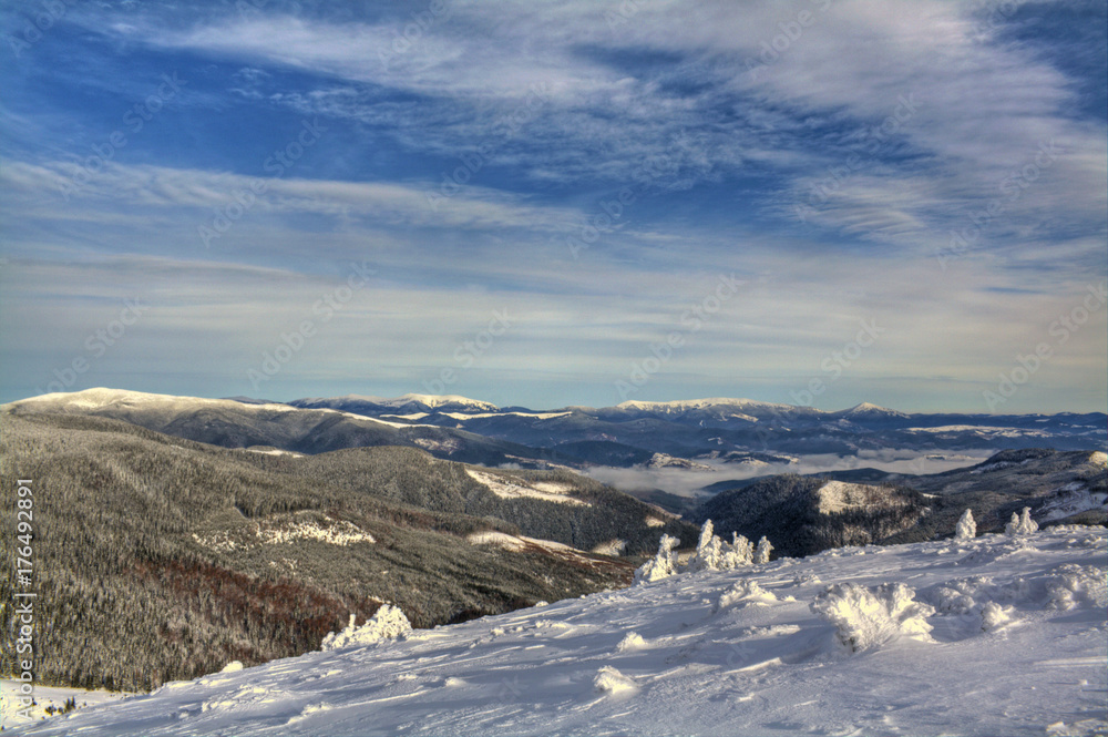 Obraz premium Beautiful winter landscape. Carpathian mountains, Ukraine.