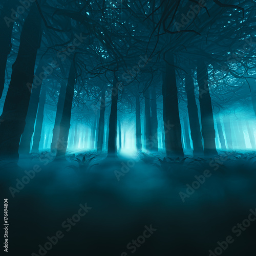 Spooky forest concept / 3D illustration of dark misty forest photo