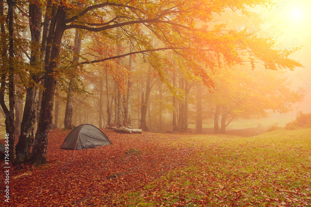 Naklejka premium Tourist camp in the autumn forest with red and yellow foliage.