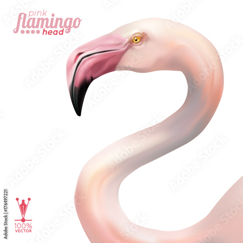 Obraz na płótnie Realistic head of pink flamingo isolated, vector illustration w salonie