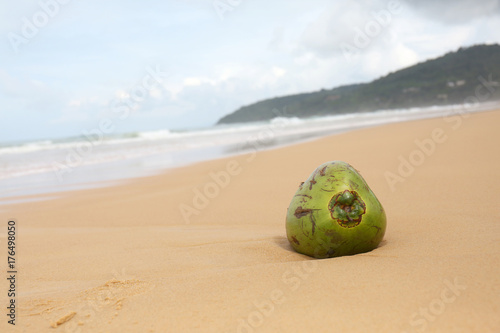 Fresh coconut from palm on a sandy beach. Tropical fruit landscape.