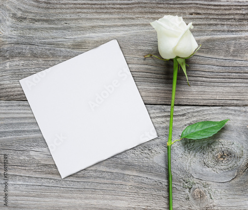 White rose and  paper card ...
