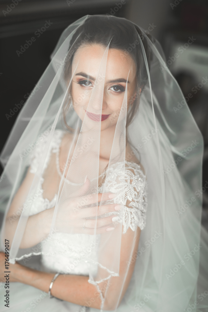 Luxury bride in white dress posing while preparing for the wedding ceremony Luxury bride in white dress posing while preparing for the wedding ceremony