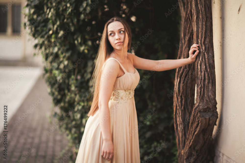 Beautiful girl with long hair posing near tree in vavel Krakow Beautiful girl with long hair posing near tree in vavel Krakow