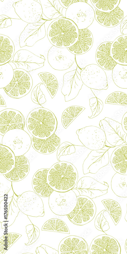 Freshness and beauty of the lines in citrus
Freshness and beauty of the lines in citrus