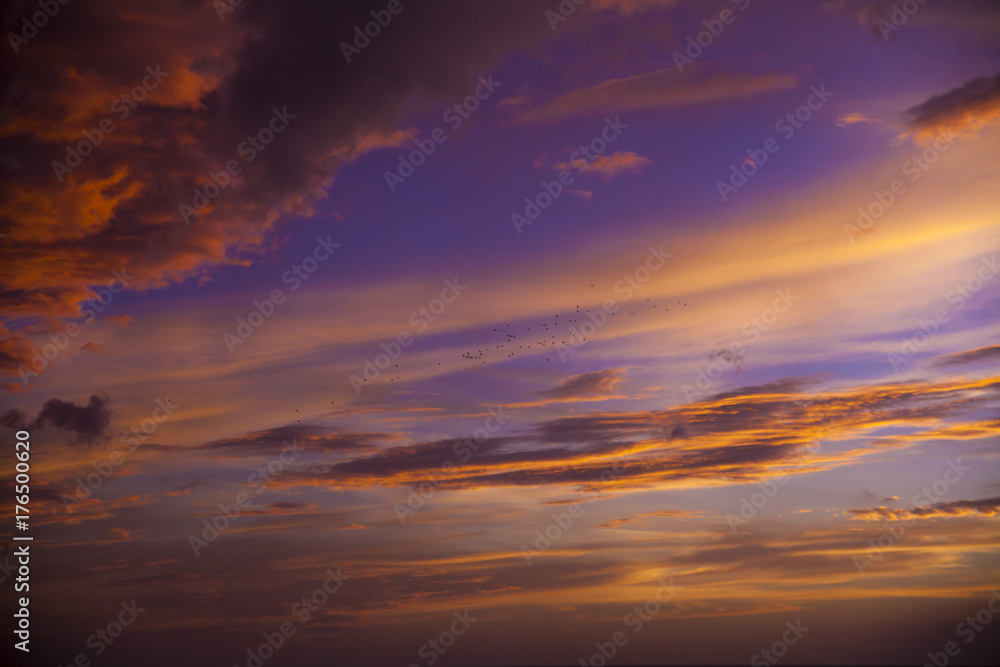 Fototapeta premium Colorful Cloud Birds fly 2