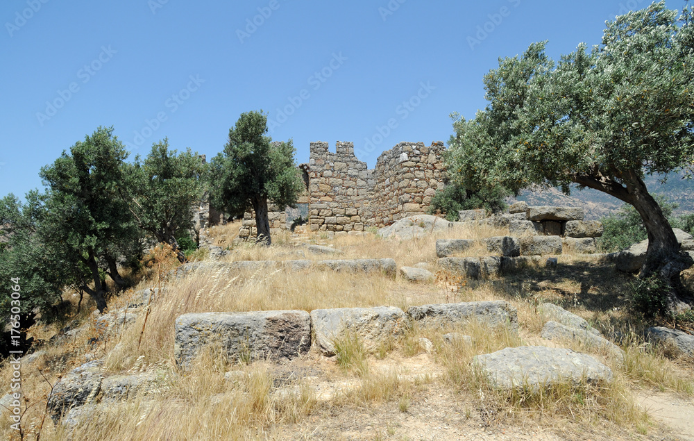 La nécropole carienne d'Héraclée en Anatolie