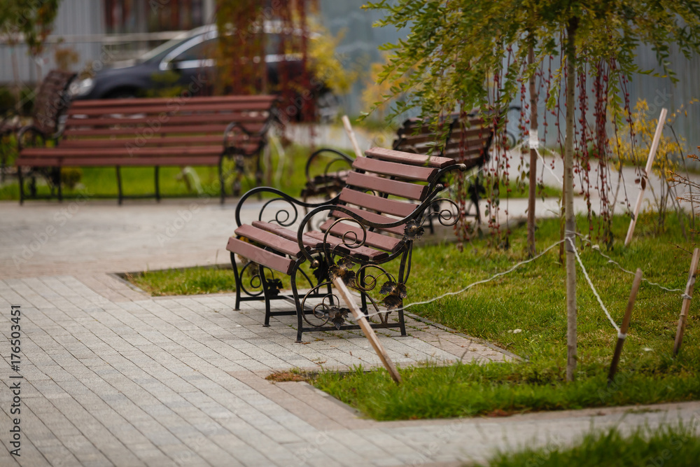 Park bench