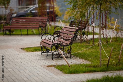 Park bench © Angelov