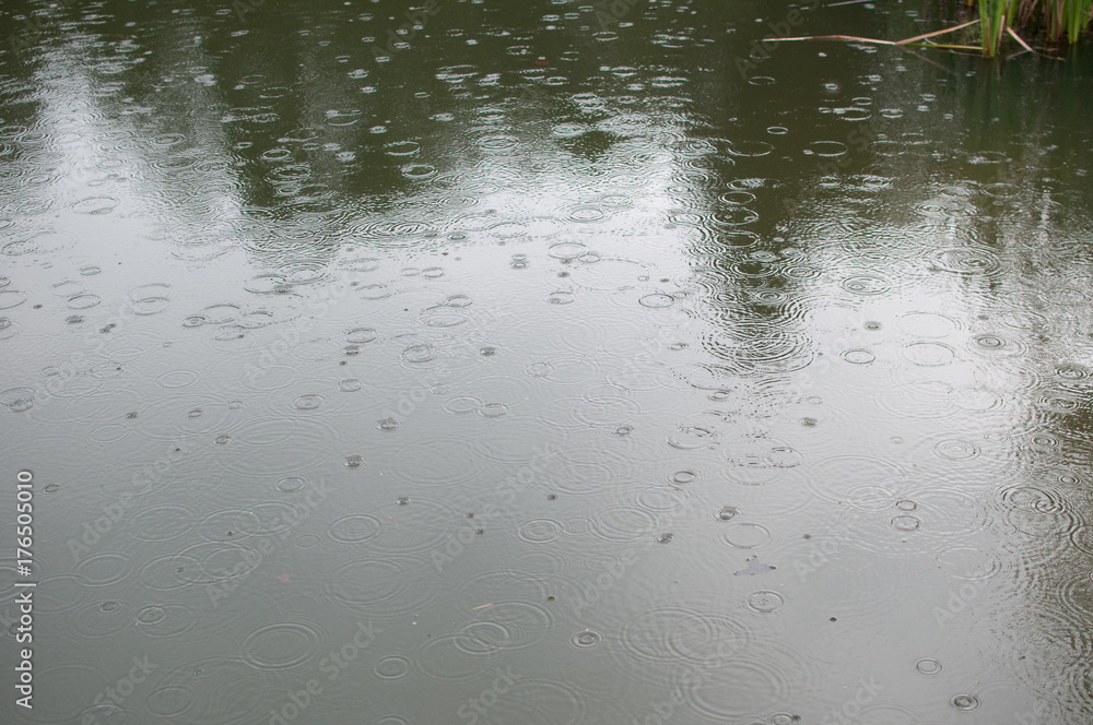 raindrops on surface of pond raindrops on surface of pond