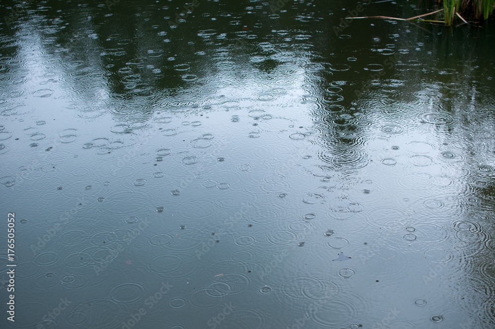 raindrops on surface of pond raindrops on surface of pond