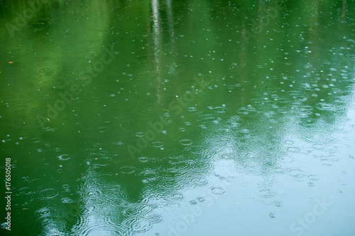 raindrops on surface of pond