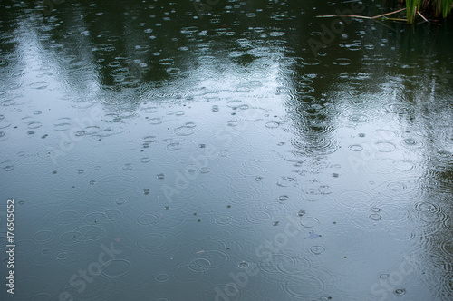 raindrops on surface of pond