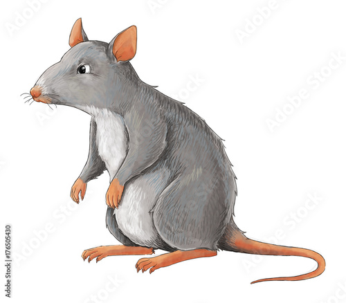 Cartoon animal - rat - some activity - illustration for children  ilustración de Stock | Adobe Stock