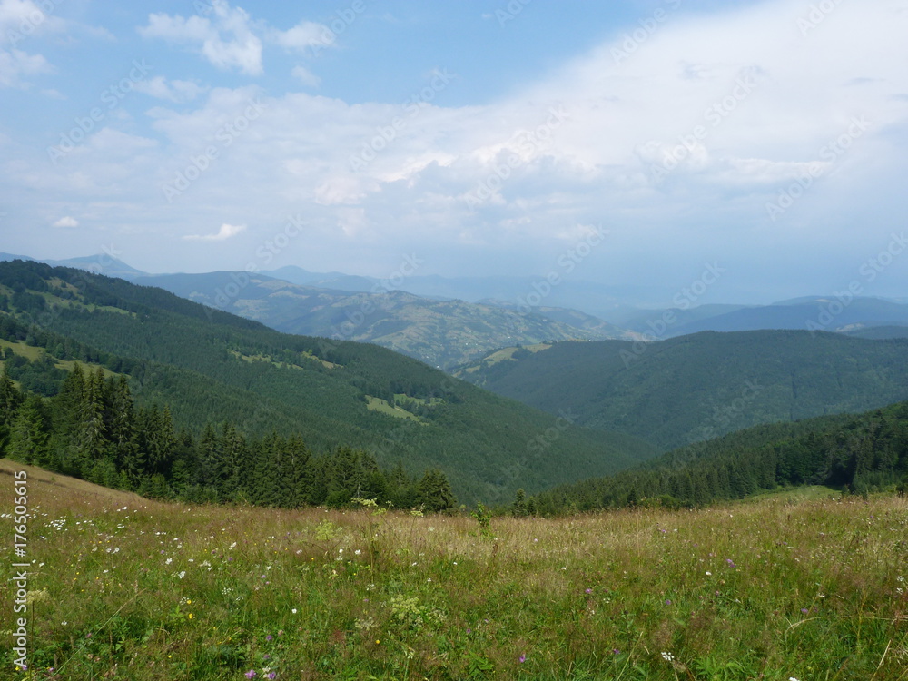 Fototapeta premium The Ukrainian Carpathians. Marmaros ridge.