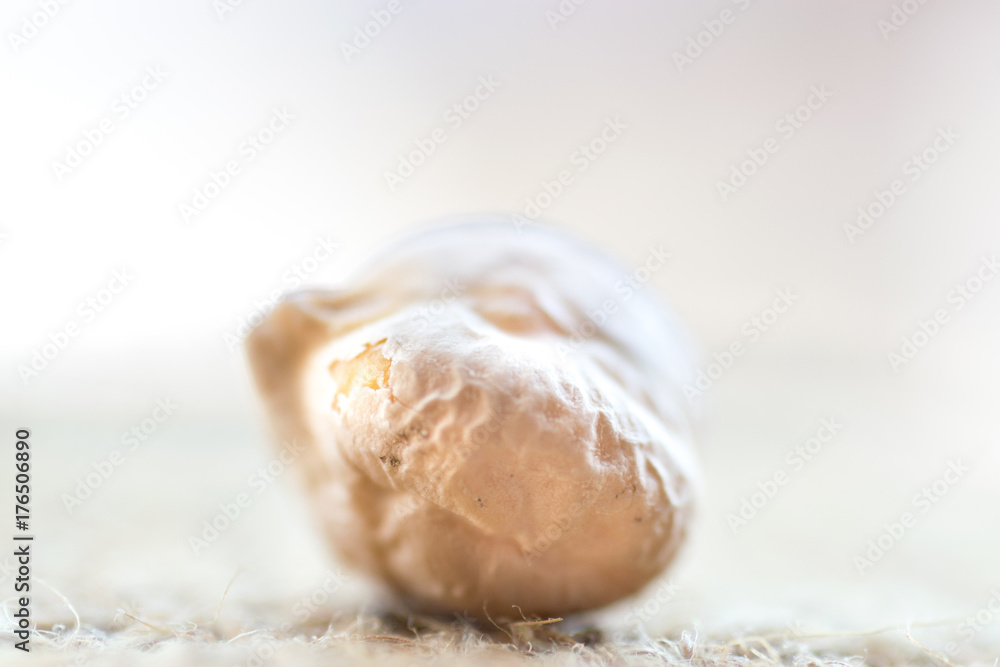 Fototapeta premium Pile of Organic Uncooked Chickpeas