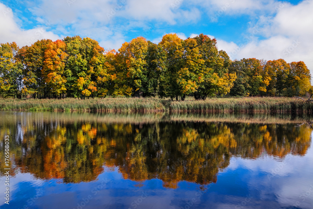 reflection of autumn forest in the lake.