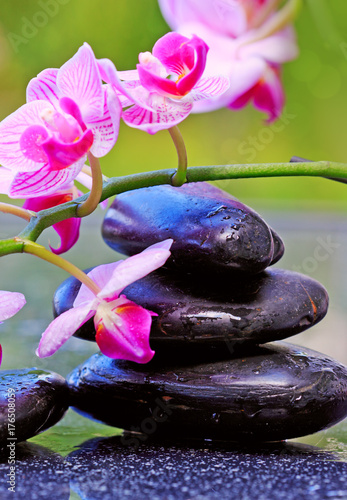 Black spa stones and pink orchid.