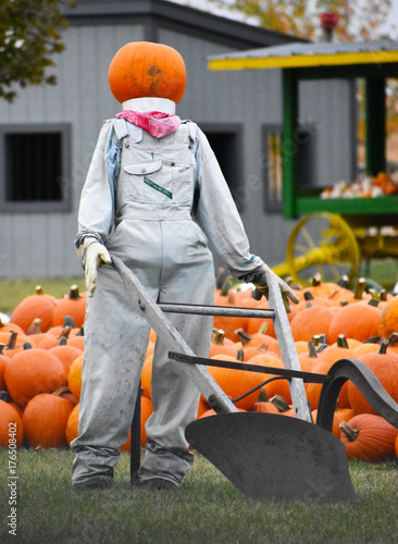 Halloween Pumpkin Head Scacecrow